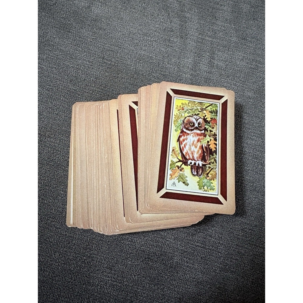 Vintage Owls Playing Cards MCM Colorful w Jokers B&B Hippie Barn Owl